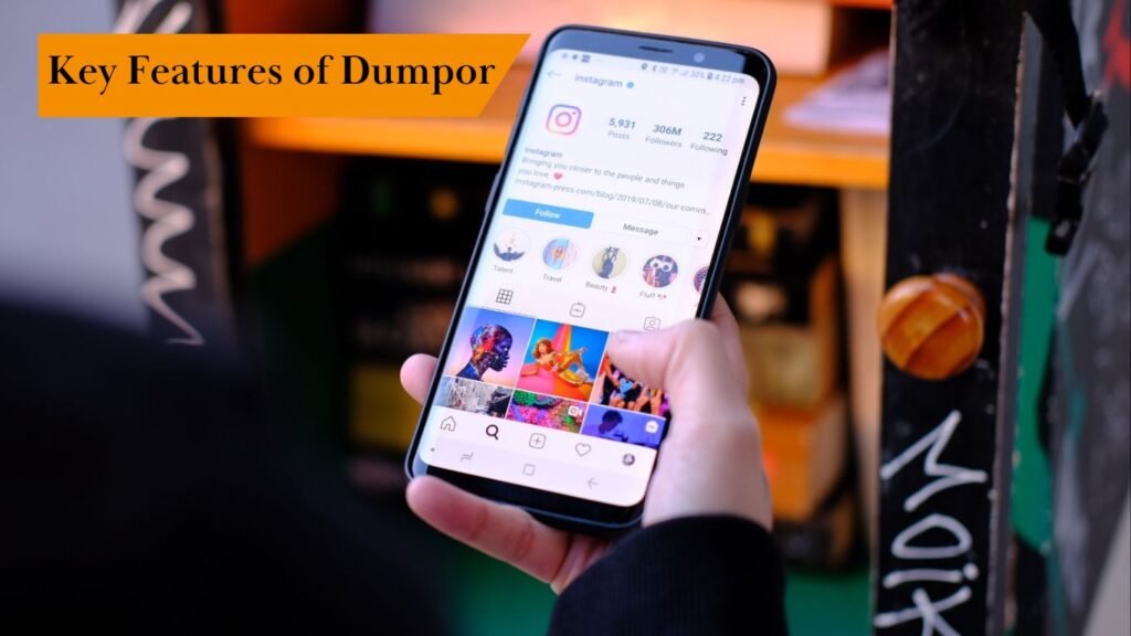 Key Features of Dumpor 